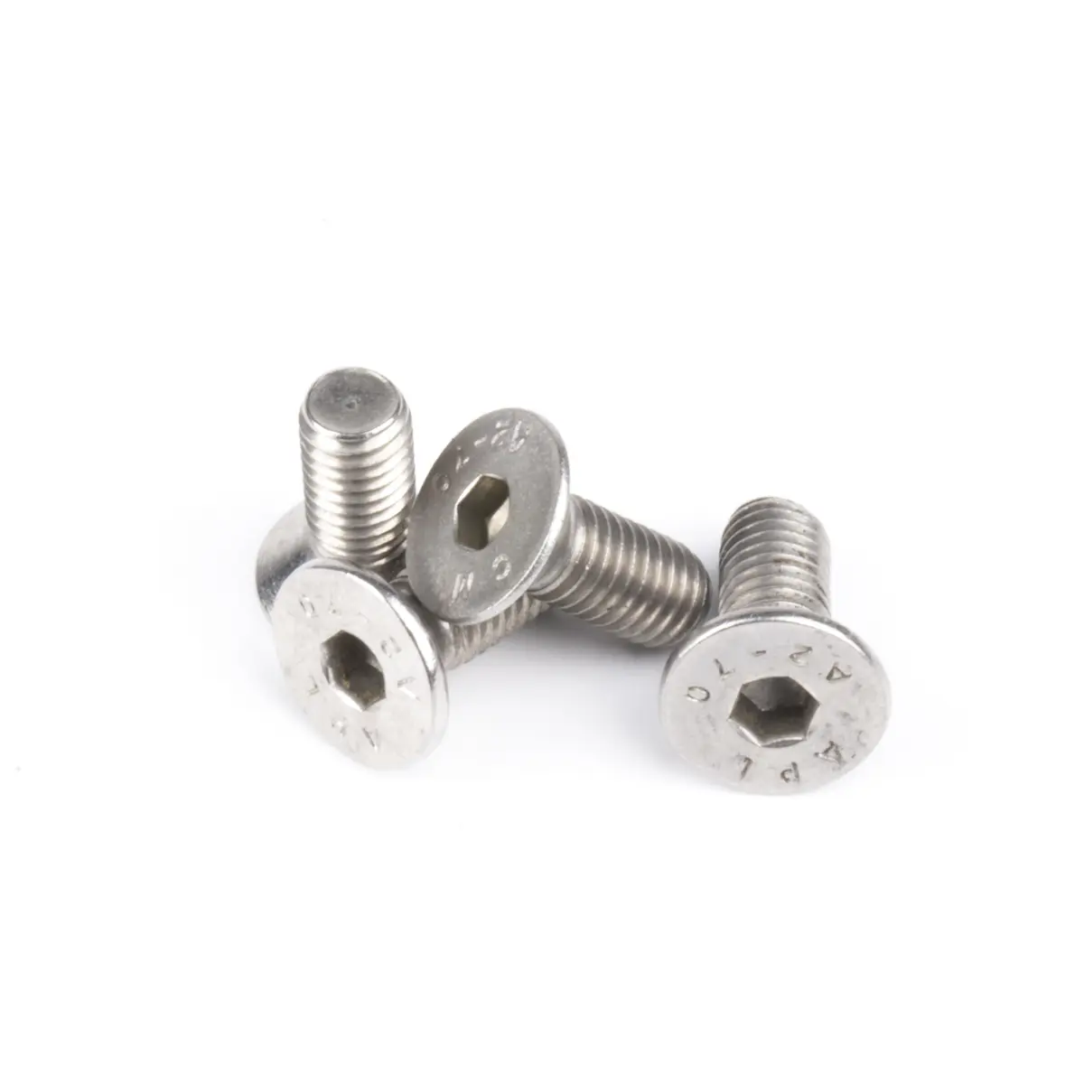 Bevestigingsschroeven voor roestvrijstalen inspectiedeksel